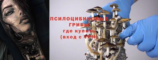 2c-b Алексин