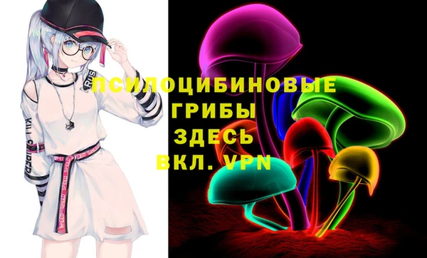 МДПВ Алексеевка