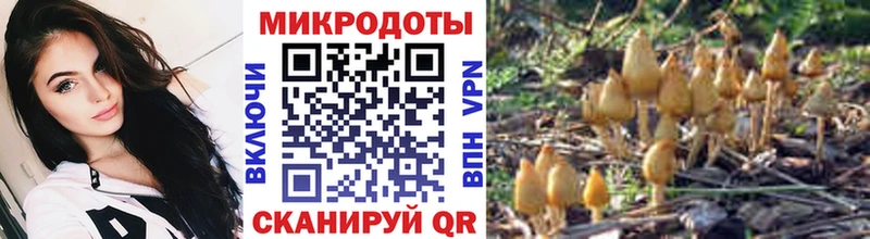 дарнет шоп Опочка Псилоцибиновые грибы Cubensis